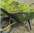wheel barrow